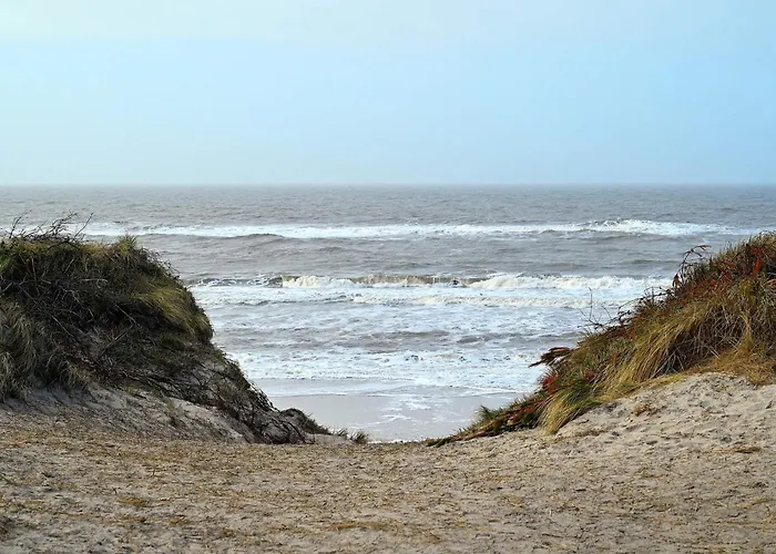 6 Person In * Hvide Sande